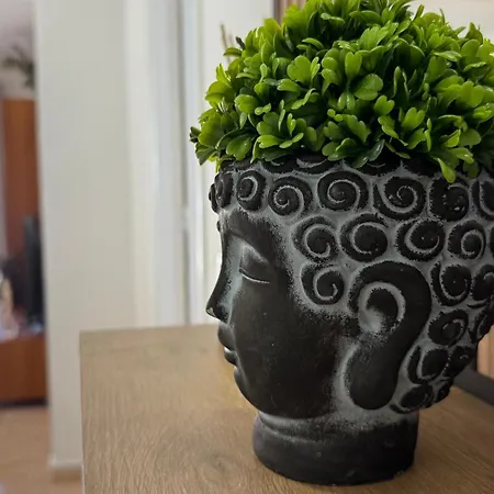 Apartmán Triple Five